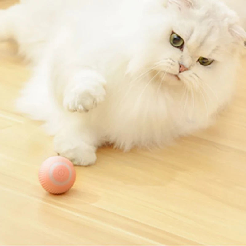 Automatic Moving Cat Toy