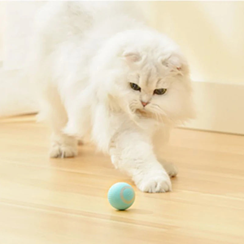 Automatic Moving Cat Toy