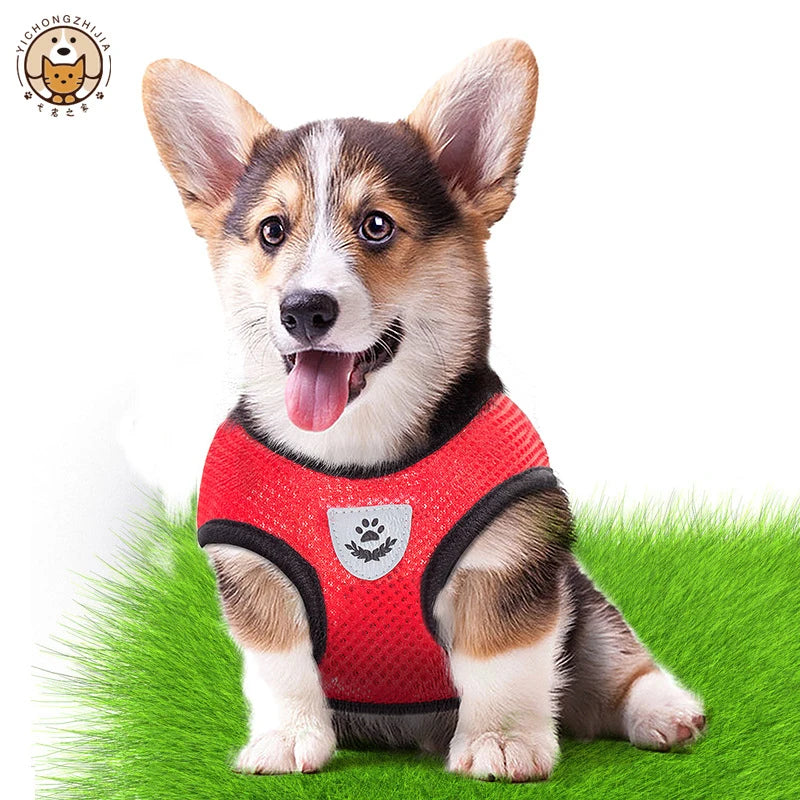 Cat Harness Vest Walking Lead