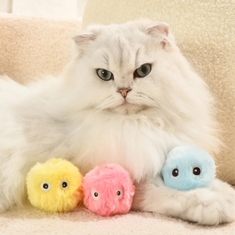 Interactive Ball Cat Toy