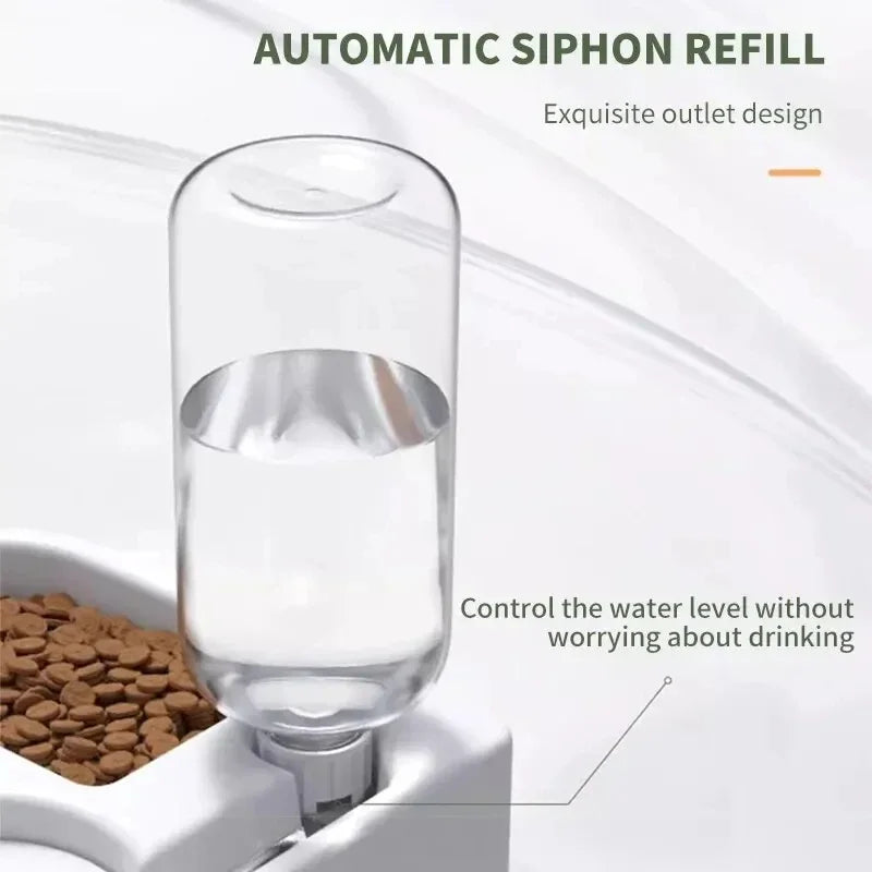 Automatic Drinking And Feeding Bowl