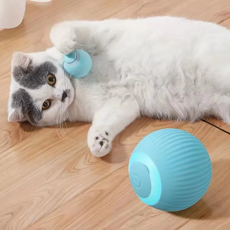 Automatic Moving Cat Toy