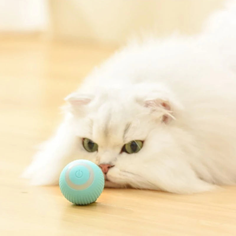 Automatic Moving Cat Toy