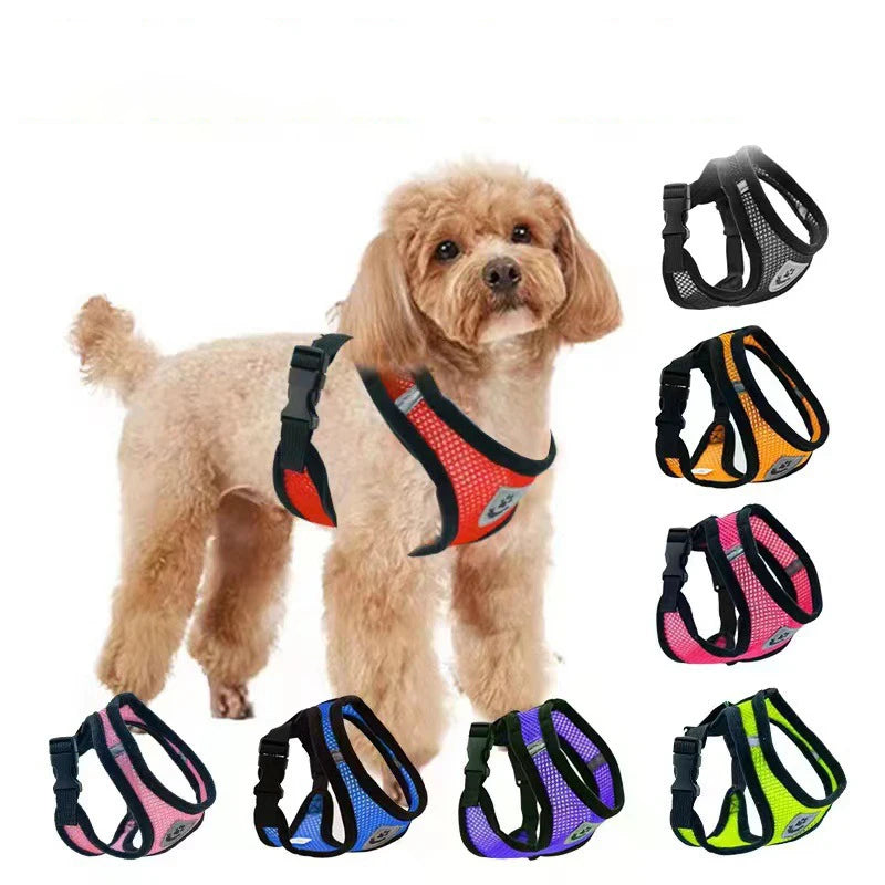 Cat Harness Vest Walking Lead