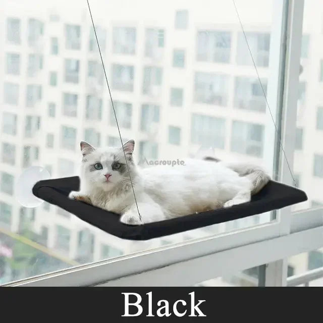 Cat Hammock Window Bed