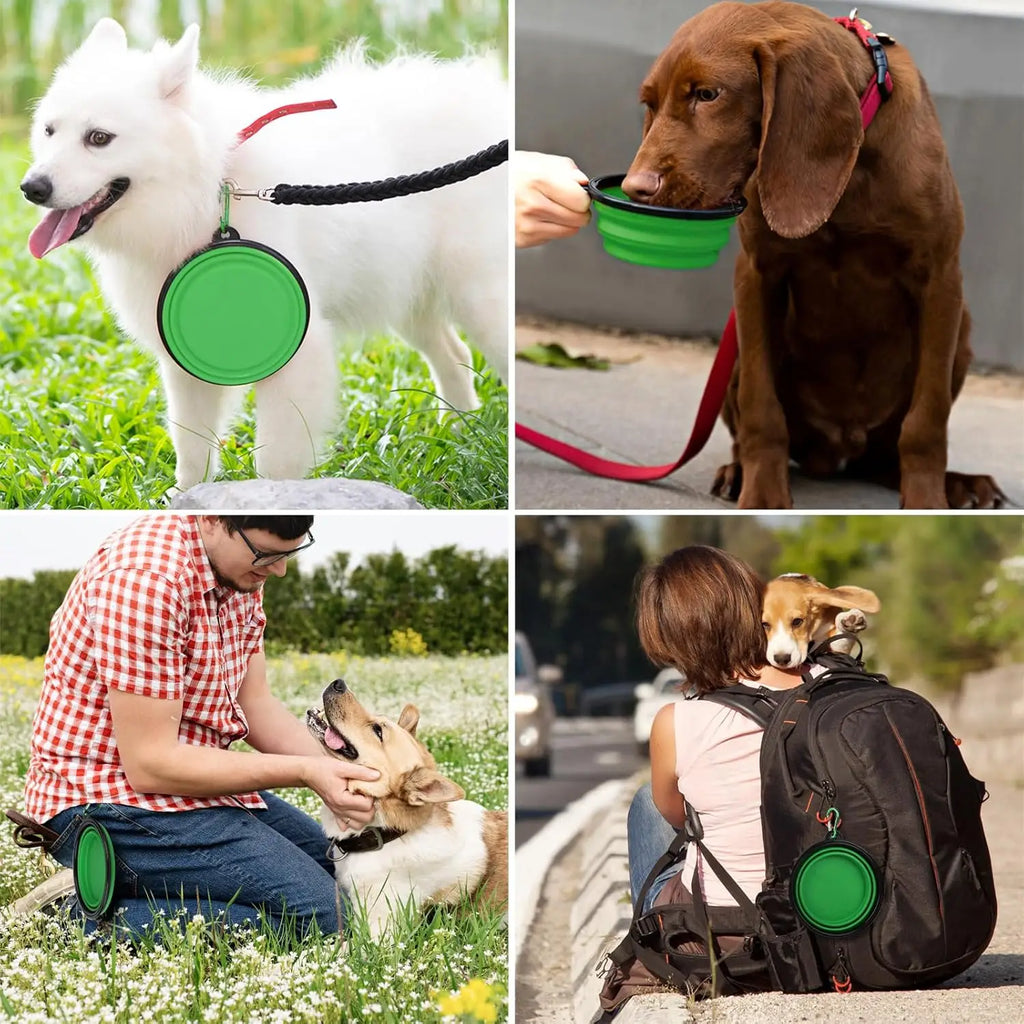 TPR Foldable Dog Bowl
