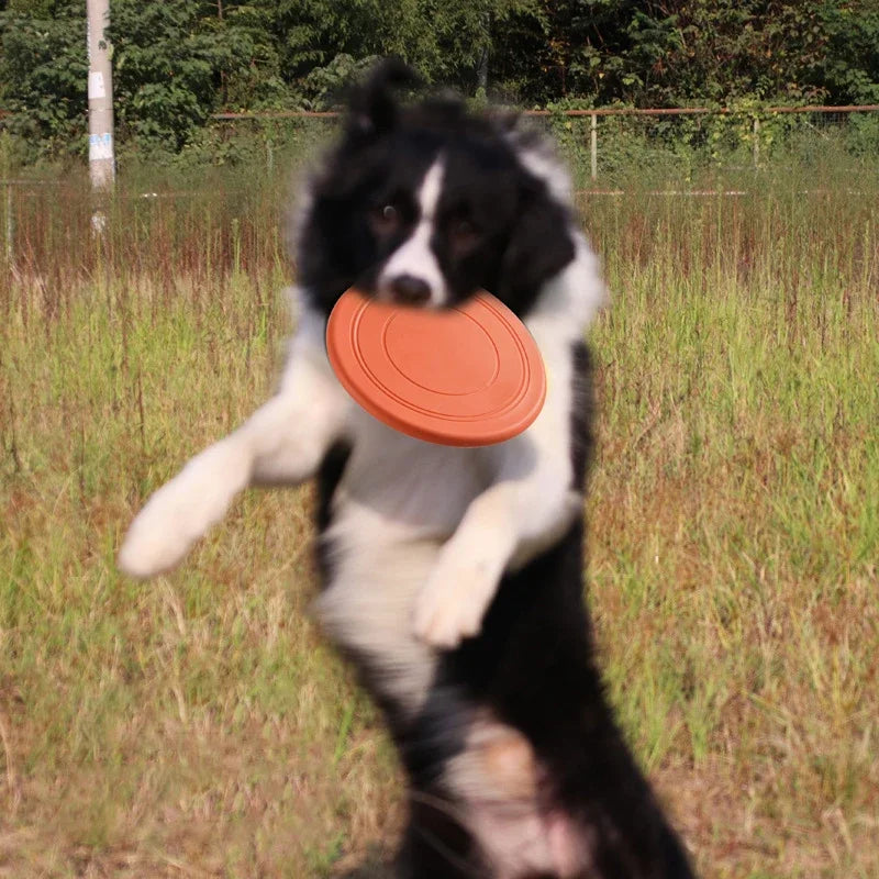 Funny Silicone Flying Saucer Dog Toy