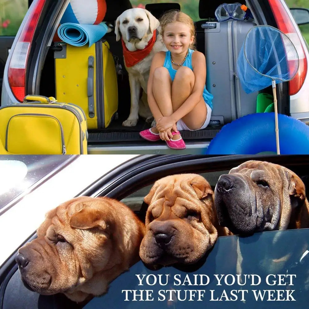 Pet Car Seat Belt